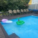 양양 발렌타인 애견펜션 이미지