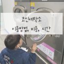 크린토피아코인워시구리갈매 | 코인세탁소 이용후기(이용방법, 비용, 시간)