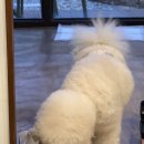 리스테이 이미지