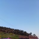 퍼플민박 이미지