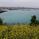 꽃이있는풍경 이미지