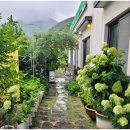 병순농장 | 마산 내서 감성 카페 차오름, 흑장미청&amp; 농촌교육농장 체험까지!