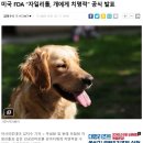 24시 블레스동물메디컬센터 이미지