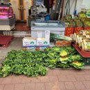 목련청과축산
