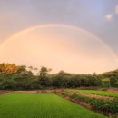 별밤농장 이미지