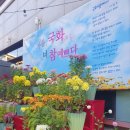 금천구 독산4동 주민센터 이미지