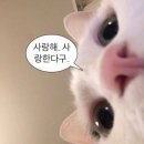 이신영헤어
