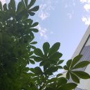 해밀예당2로 이미지