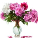 보광한의원 이미지