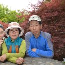 초원의집 이미지