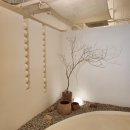 대패생각 이미지