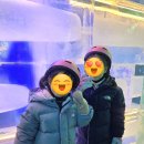 화천도서관 | 2026 화천 실내얼음조각 광장 얼음 봅슬레이 얼음 썰매 즐긴 후기