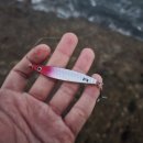 모항항편의점 | [25.12/1] 태안 모항항 지각생의 광어, 우럭 낚시 후기