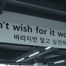 네드짐 이미지