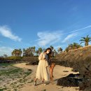 삼춘네민박 | 애견동반 여행 1일차🌴/애견동반 숙소 신흥부부민박 수국동, 제주 중문시장, 신흥해변, 티웨이애견동반