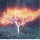 쁘띠쁘아유치원 이미지