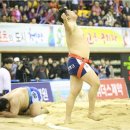 천하장사 노컷뉴스