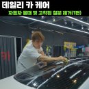 데일리카케어
