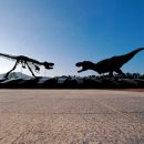 쪽빛나라 이미지