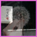 신나는 과학실험 놀이터 이미지