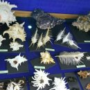 울산해양박물관 이미지