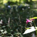 봉일천5리 이미지