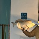 낭만물고기실내바다낚시터 이미지