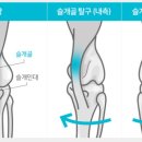 비페이스