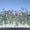 페이퍼 플라워아트 이미지