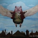 돼지보러오면돼지 이미지