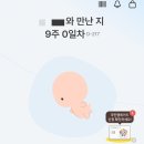 용하약국 | 임신 초기 계류유산ㆍ소파술 흡입술ㆍ난황 크기 큼ㆍ심장박동 정상ㆍ실비 보험