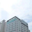 더샤인 이미지