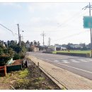 대정읍 영어교육도시내 곶자왈 이미지