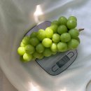 보라농장2 이미지