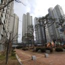 산양초등학교 사거리(신안) 이미지