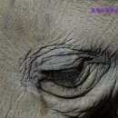 로제피부과의원중앙점 이미지