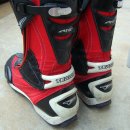 스타피드 이미지