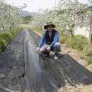 두영농장 이미지