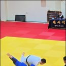 용인대안산유도체육관 이미지