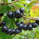 미산농장 이미지