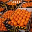 빈코리아 이미지