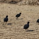 강서체육공원 이미지