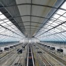 태성농장3 이미지