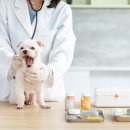 24시 공감365동물의료센터 이미지