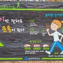 사로교