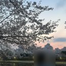 지에스(GS)25 분당서현로 이미지