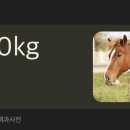 성남대로779번길 이미지