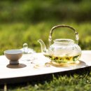 뜰이야기2 이미지