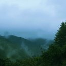 새방골산방 이미지