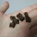 개밥드슈 이미지